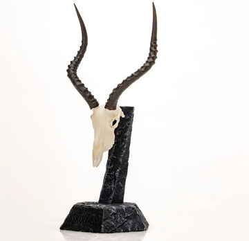 Impala Miniature Replica Skull