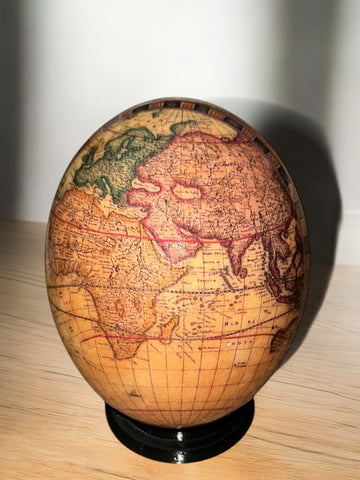 Ostrich Egg with World Map