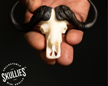 Skullies